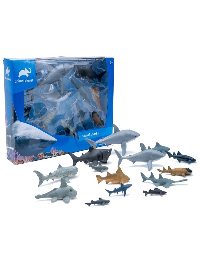 أنيمال بلانيت مجموعة ألعاب "بحر أسماك القرش" من أنيمال بلانيت - مجموعة مكونة من 14 قطعة من مجسمات أسماك القرش، تضم القرش الأبيض الكبير، وقرش المطرقة، وقرش ميغاموث، وغيرها، للأطفال من عمر 3 سنوات فما فوق. - Image 1